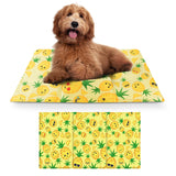 TAPETE EN GEL PARA MASCOTA