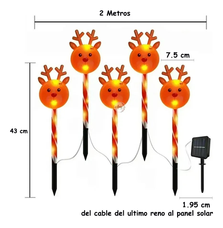 Reno Luces Solares X 5