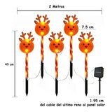 Reno Luces Solares X 5