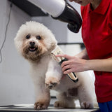 Kit de Peluquería Profesional para Mascotas