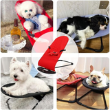 Cama Mecedora Para Perros