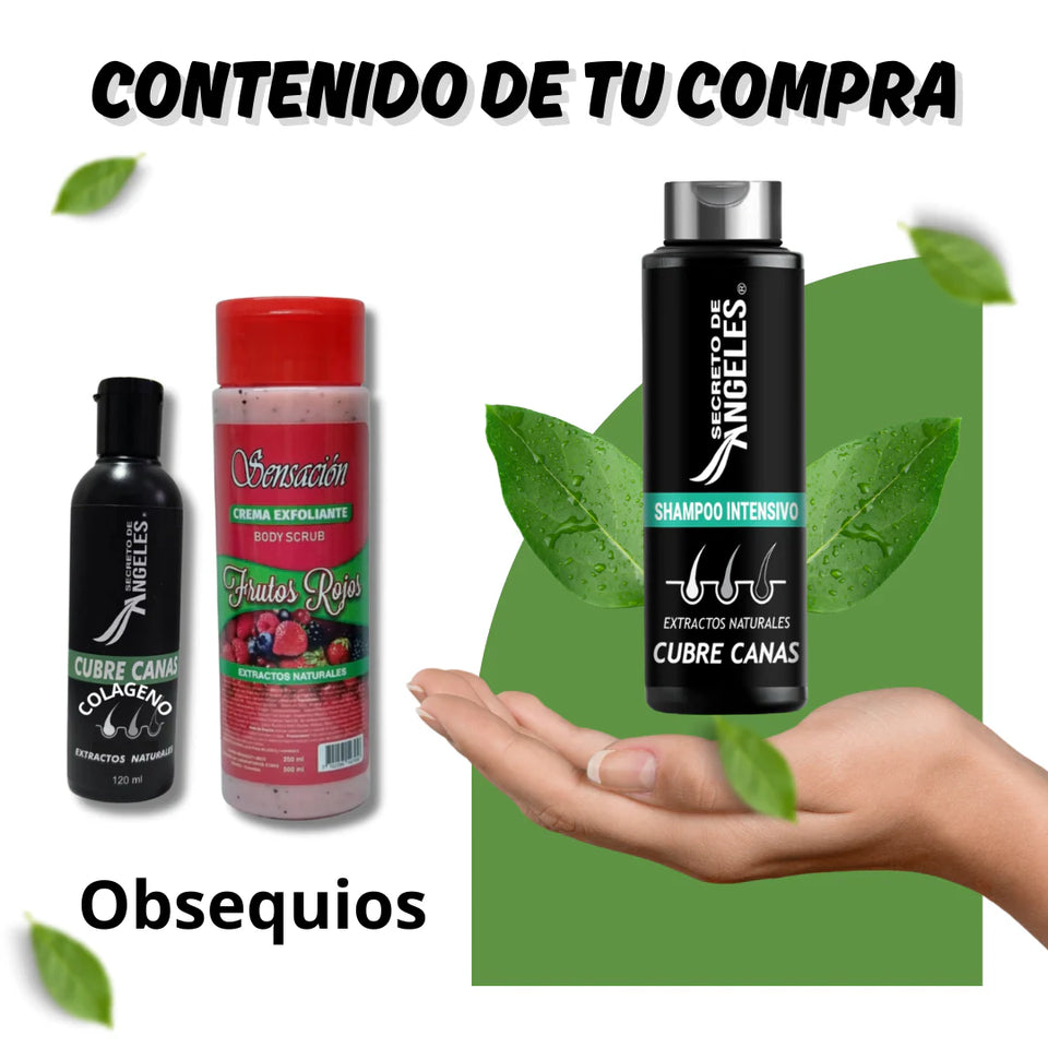 COMBO SHAMPOO CUBRE CANAS SECRETO DE ANGELES + 2 OBSEQUIO