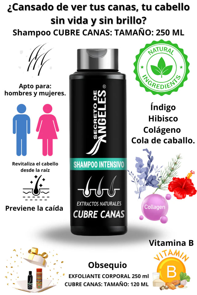 COMBO SHAMPOO CUBRE CANAS SECRETO DE ANGELES + 2 OBSEQUIO