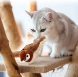 Juguete Interactivo de Pájaro Electrónico para Gatos