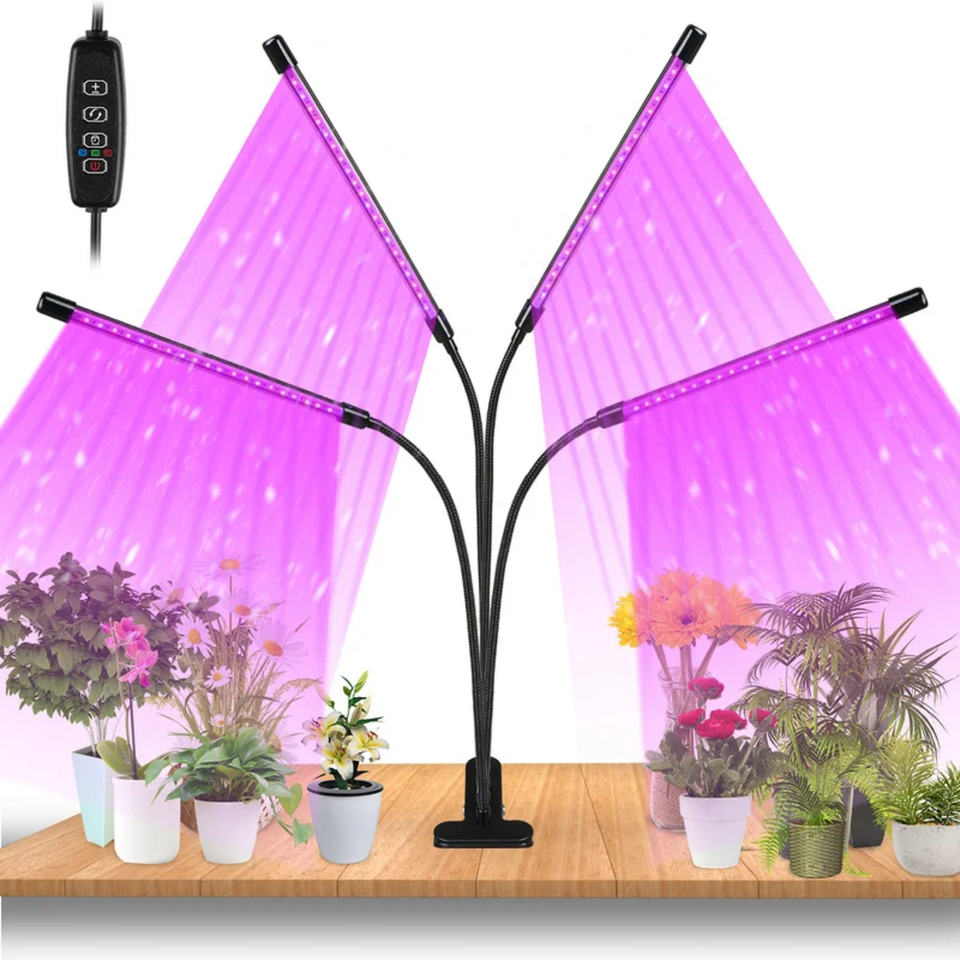 Luces de Cultivo para Plantas de Interior