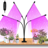 Luces de Cultivo para Plantas de Interior
