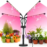 Luces de Cultivo para Plantas de Interior
