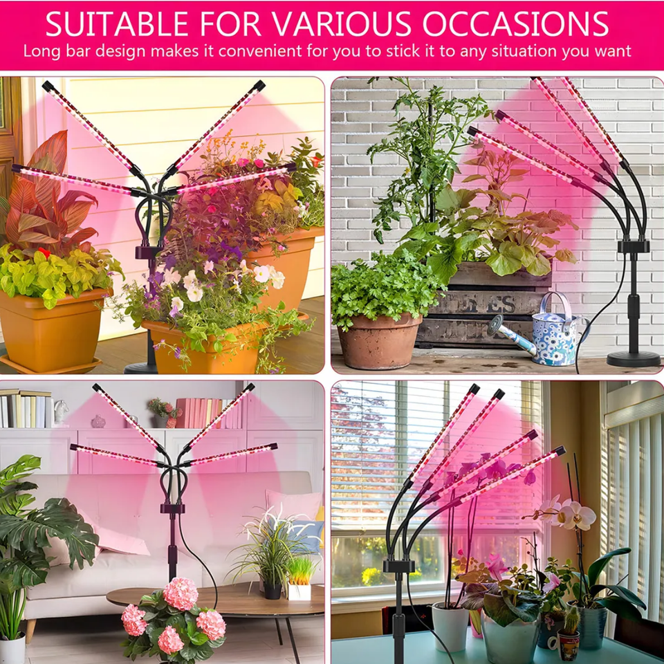 Luces de Cultivo para Plantas de Interior