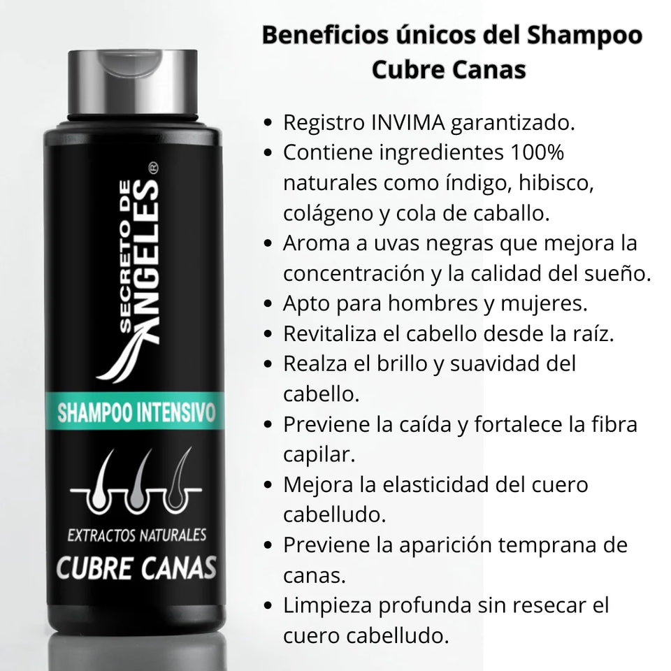 COMBO SHAMPOO CUBRE CANAS SECRETO DE ANGELES + 2 OBSEQUIO