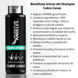 COMBO SHAMPOO CUBRE CANAS SECRETO DE ANGELES + 2 OBSEQUIO