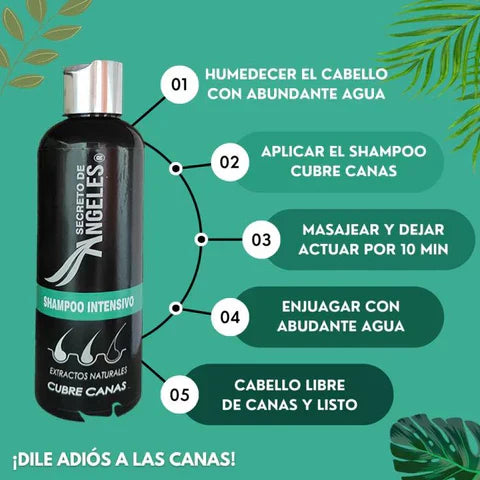 COMBO SHAMPOO CUBRE CANAS SECRETO DE ANGELES + 2 OBSEQUIO