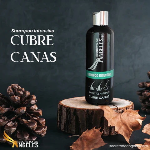 COMBO SHAMPOO CUBRE CANAS SECRETO DE ANGELES + 2 OBSEQUIO