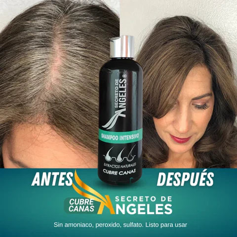 COMBO SHAMPOO CUBRE CANAS SECRETO DE ANGELES + 2 OBSEQUIO