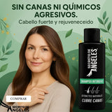 COMBO SHAMPOO CUBRE CANAS SECRETO DE ANGELES + 2 OBSEQUIO
