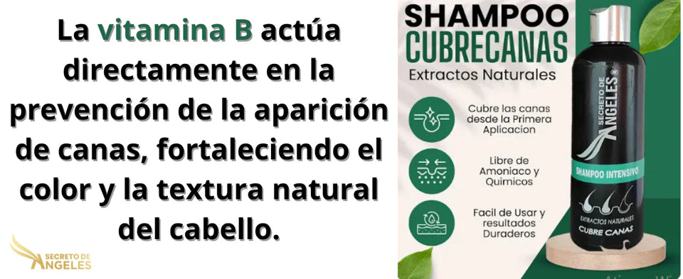 COMBO SHAMPOO CUBRE CANAS SECRETO DE ANGELES + 2 OBSEQUIO