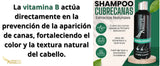 COMBO SHAMPOO CUBRE CANAS SECRETO DE ANGELES + 2 OBSEQUIO