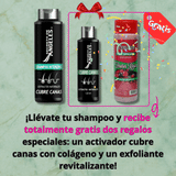 COMBO SHAMPOO CUBRE CANAS SECRETO DE ANGELES + 2 OBSEQUIO
