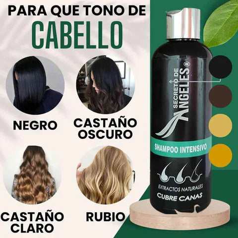 COMBO SHAMPOO CUBRE CANAS SECRETO DE ANGELES + 2 OBSEQUIO