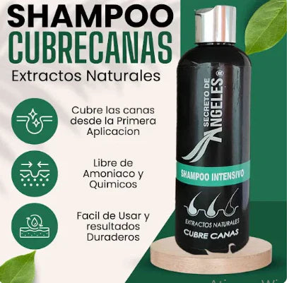 COMBO SHAMPOO CUBRE CANAS SECRETO DE ANGELES + 2 OBSEQUIO