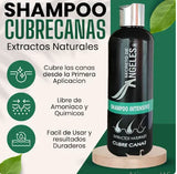 COMBO SHAMPOO CUBRE CANAS SECRETO DE ANGELES + 2 OBSEQUIO