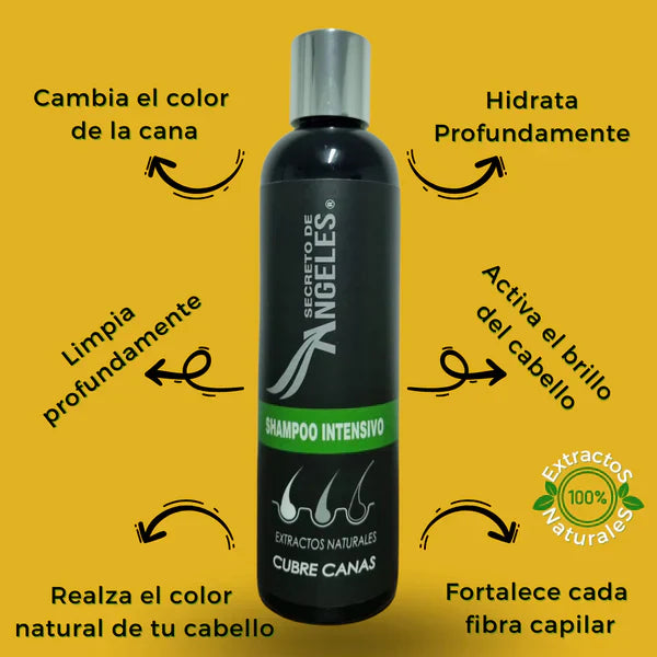 COMBO SHAMPOO CUBRE CANAS SECRETO DE ANGELES + 2 OBSEQUIO